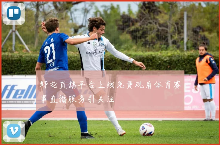 野花直播平台上线免费观看体育赛事直播服务引关注