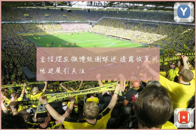 金信煜发微博致谢球迷 透露恢复训练进展引关注