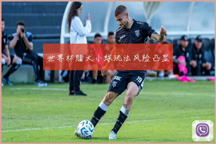 世界杯赌大小球玩法风险凸显